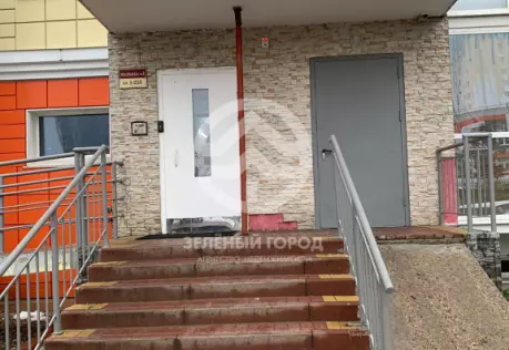 Продажа, 1 к. квартира, деревня Голубое, Трехсвятская, д. 6