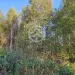 Продажа, участок, Горки, 10,5 сот