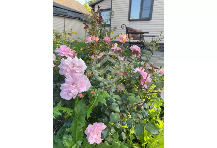 Продажа, дом, Высоковск, 140 кв.м, 6 сот