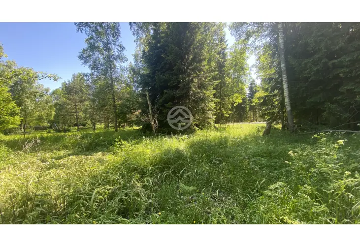 Продажа, участок, Дедешино, 16,4 сот