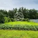 Продажа, дом, Заовражье, 54 кв.м, 30 сот