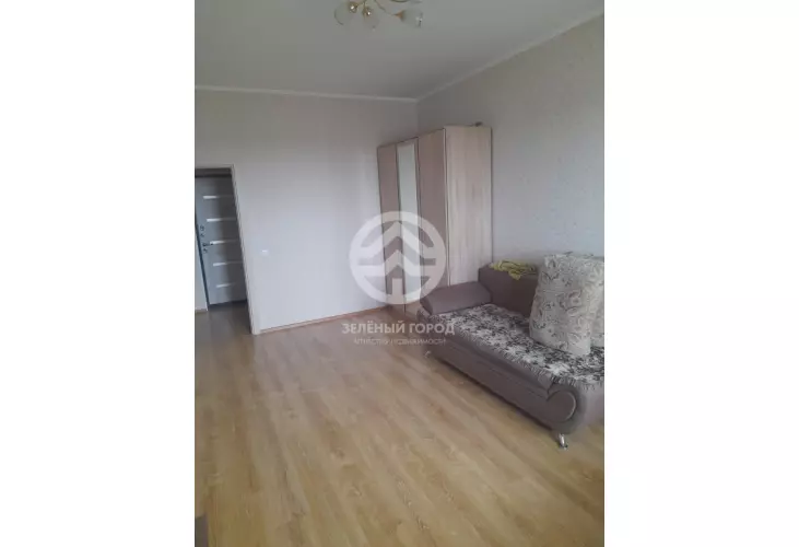 Продажа, 1 к. квартира, деревня Голубое, Трехсвятская , д. 13