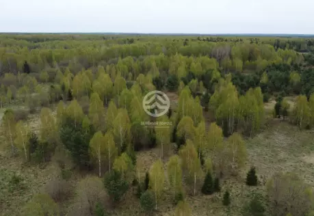 Продажа, участок, Жестоки, 29,5 сот