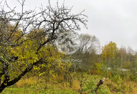 Продажа, дом, Радованье, 38 кв.м, 24 сот