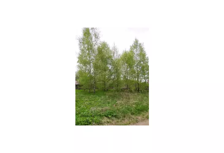 Продажа, участок, Белавино, 10 сот