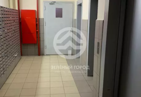 Продажа, 1 к. квартира, деревня Голубое, Трехсвятская, д. 6