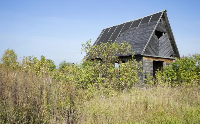Признаки неиспользуемых дачных земель