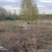 Продажа, участок, Меленки, 12 сот