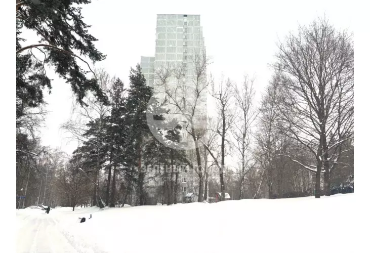 Продажа, 1 к. квартира, Зеленоград, к. 1005