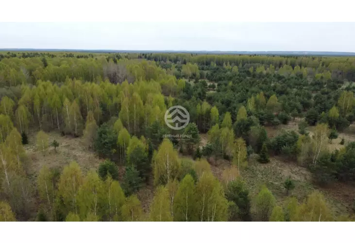 Продажа, участок, Жестоки, 29,5 сот