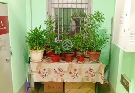 Продажа, 1 к. квартира, Москва, Ангарская, д. 45, к. 2