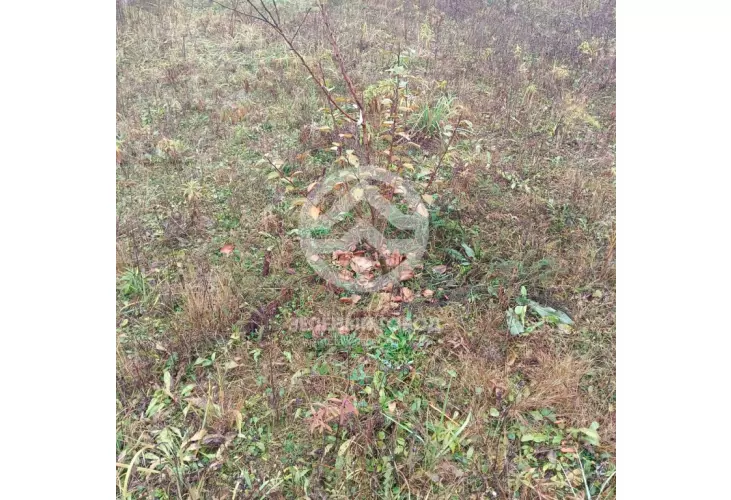 Продажа, участок, Пятницкая слобода ТСН, 12 сот