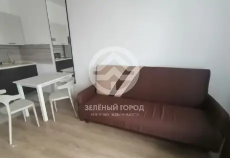 Аренда, студия, рабочий поселок Андреевка, Парковый бульвар, д. 5