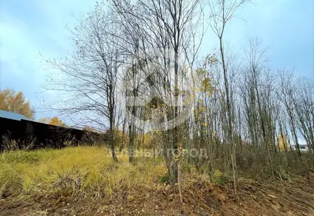 Продажа, участок, Елино, 15 сот