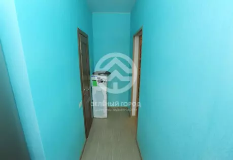 Продажа, 1 к. квартира, деревня Голубое, Трехсвятская, д. 18