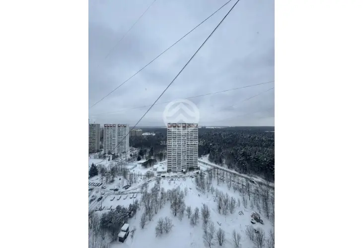 Аренда, 1 к. квартира, Зеленоград, к. 1111