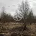 Продажа, участок, Горки, 12 сот