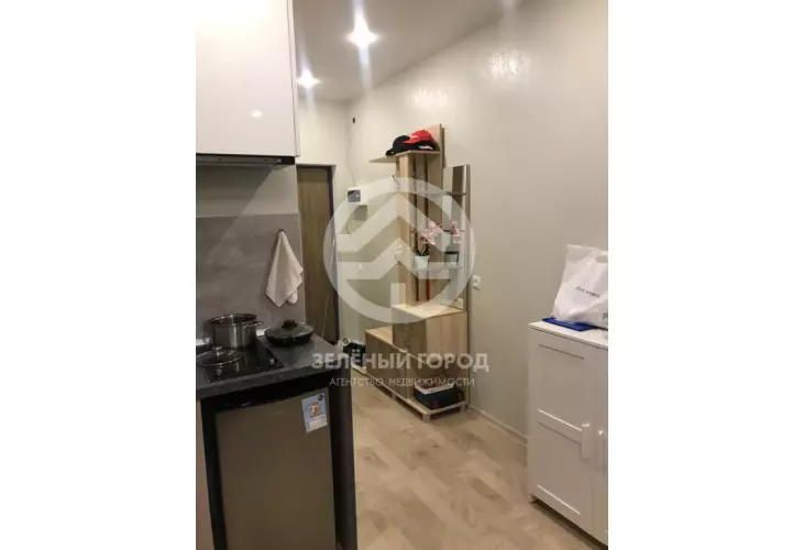 Продажа, студия, деревня Голубое, Сургутский проезд, д. 1, к. 3