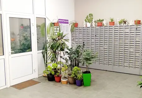 Продажа, 2 к. квартира, деревня Голубое, Сургутский проезд , д. 1, к. 1