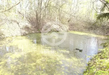 Продажа, участок, Решоткино, 6 сот