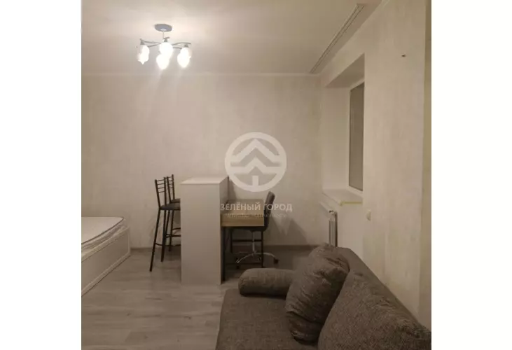 Аренда, студия, рабочий поселок Андреевка, Староандреевская , д. 43, к. 2