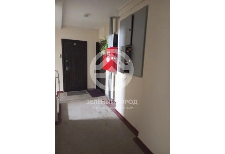 Аренда, 1 к. квартира, Зеленоград, к. 1133