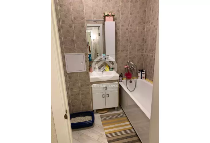 Продажа, 1 к. квартира, деревня Голубое, Трехсвятская, д. 6