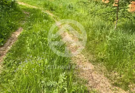 Продажа, участок, Струбково, 16 сот