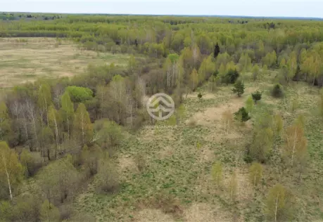 Продажа, участок, Жестоки, 29,5 сот