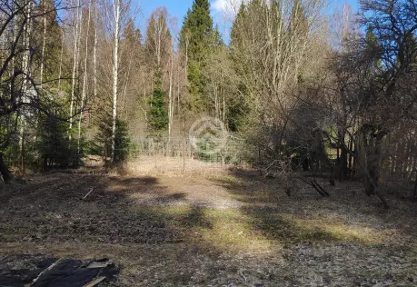 Продажа, дача, Голенищево, 22 кв.м, 8,16 сот