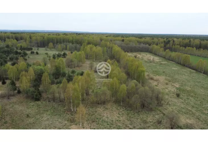 Продажа, участок, Жестоки, 29,5 сот