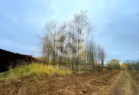 Продажа, участок, Елино, 15 сот