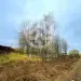 Продажа, участок, Елино, 15 сот