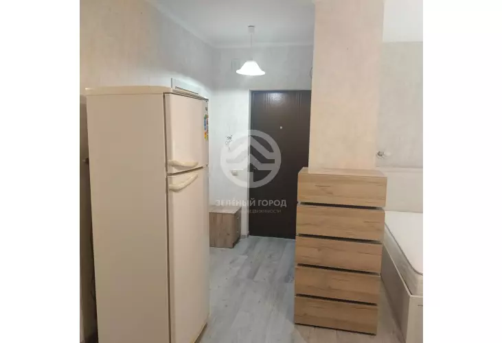 Аренда, студия, рабочий поселок Андреевка, Староандреевская , д. 43, к. 2