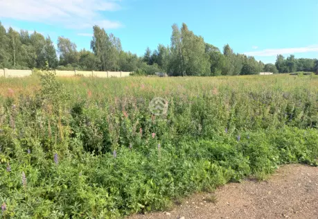 Продажа, участок, Селинское, 10 сот