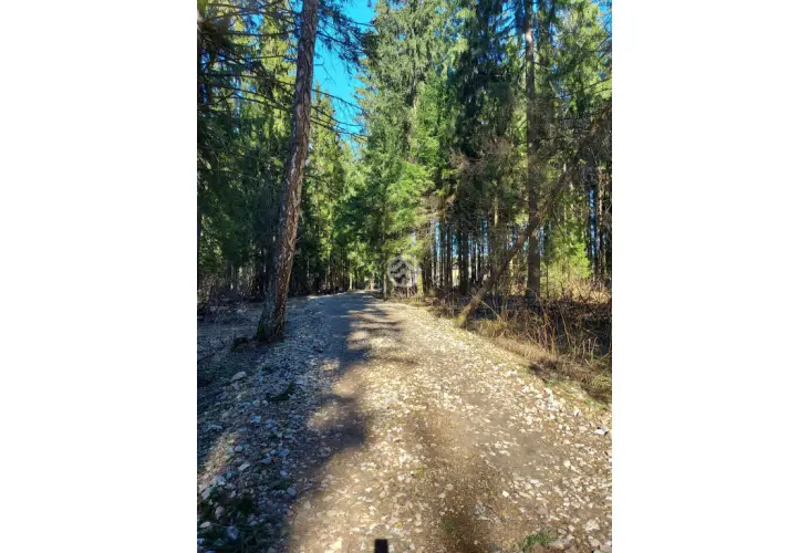 Продажа, дача, Менделеево, 61 кв.м, 6 сот