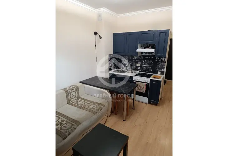 Аренда, студия, деревня Голубое, Зелёный проезд, д. 2