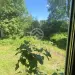 Продажа, дача, СНТ Дружба, 93 кв.м, 6 сот