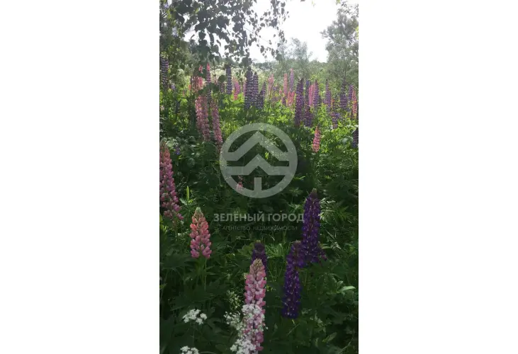 Продажа, дом, деревня Сметанино, 55 кв.м, 6 сот