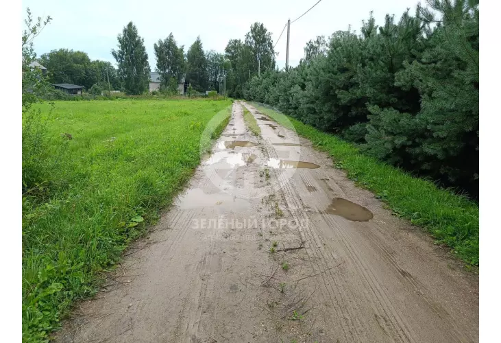 Продажа, участок, Васёлево, 15 сот