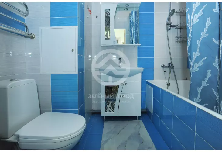 Продажа, 1 к. квартира, деревня Голубое, Трехсвятская , д. 18