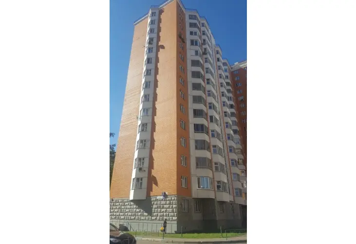 Продажа, 1 к. квартира, деревня Голубое, Родниковая, д. 5