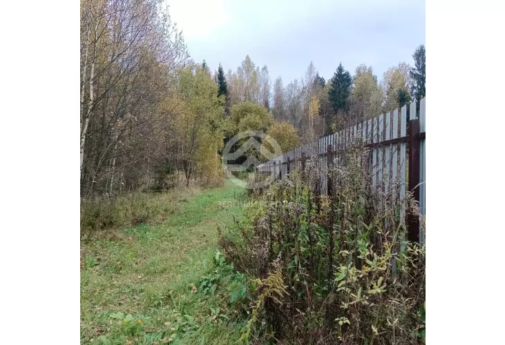 Продажа, участок, Жилино, 5 сот