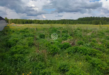 Продажа, участок, Селищево, 15 сот