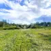 Продажа, участок, Замятино, 8,5 сот