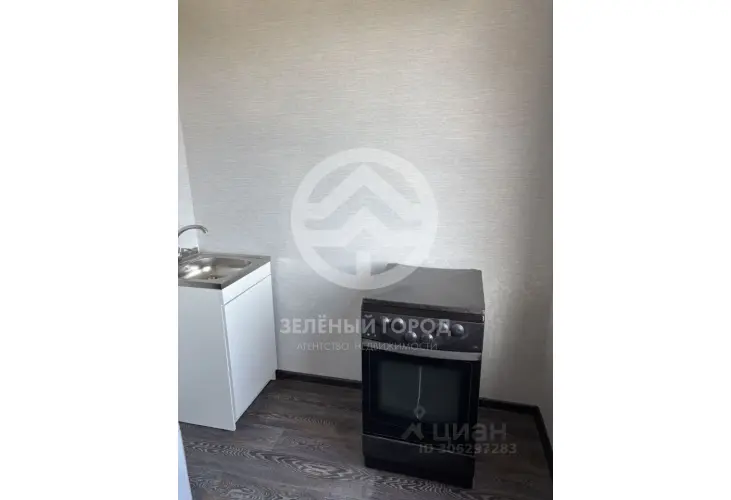 Продажа, 1 к. квартира, деревня Голубое, Родниковая, к. 2