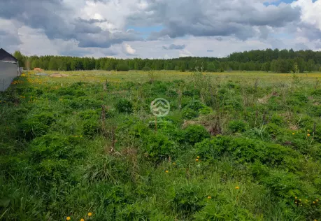 Продажа, участок, Селищево, 15 сот