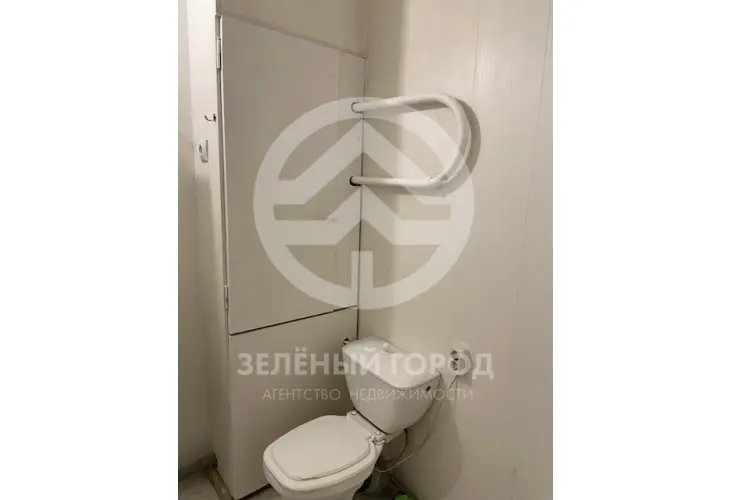 Продажа, 1 к. квартира, деревня Голубое, Родниковая, к. 2