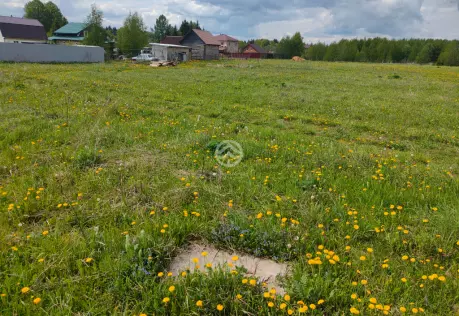 Продажа, участок, Селищево, 15 сот
