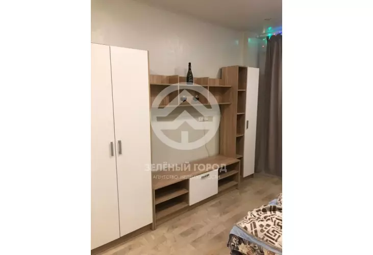 Аренда, студия, деревня Голубое, Сургутский проезд, д. 1, к. 3